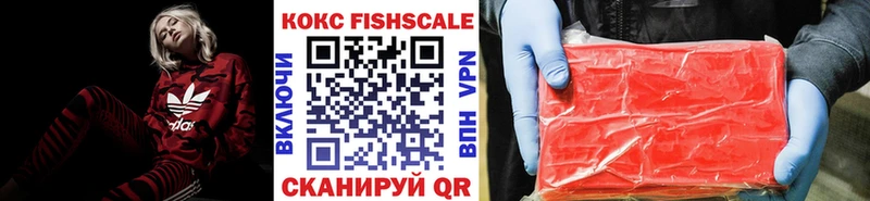 Cocaine FishScale  даркнет сайт  гидра как зайти  Пенза 