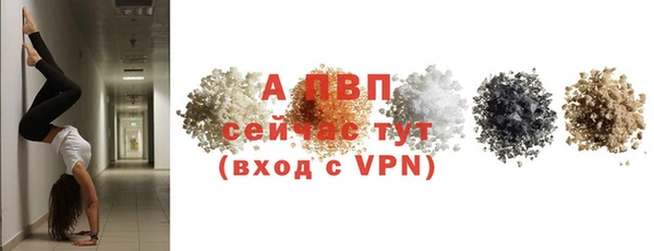 тгк Магас