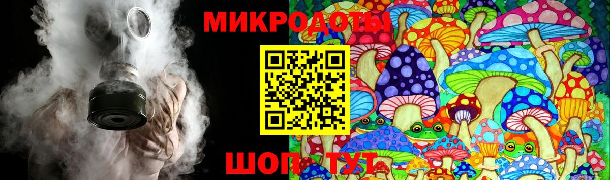 Псилоцибиновые грибы Psilocybe Пенза