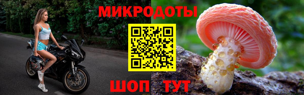 Галлюциногенные грибы прущие грибы  Галлюциногенные грибы прущие грибы  Вход с VPN  Пенза 